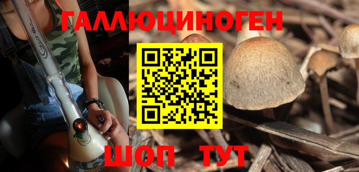 Псилоцибиновые грибы мухоморы Сургут